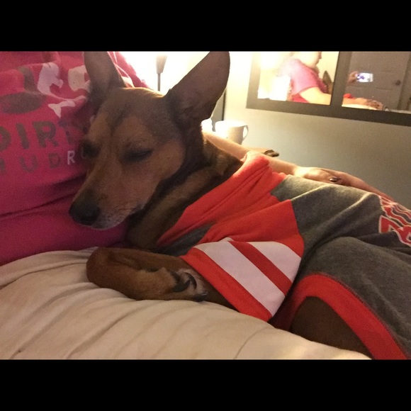 Meet Your Posh Ambassador! - Picture 3 of 8